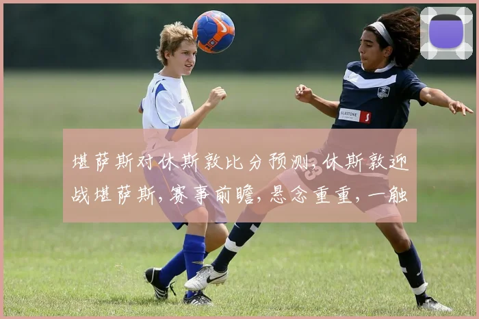 堪萨斯对休斯敦比分预测,休斯敦迎战堪萨斯,赛事前瞻,悬念重重,一触即发