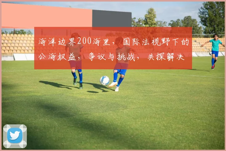 海洋边界200海里，国际法视野下的公海权益，争议与挑战，共探解决方案